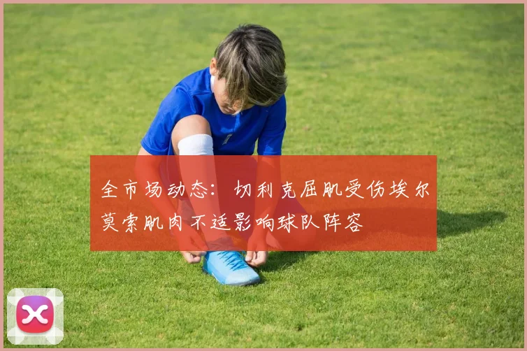 全市场动态：切利克屈肌受伤埃尔莫索肌肉不适影响球队阵容