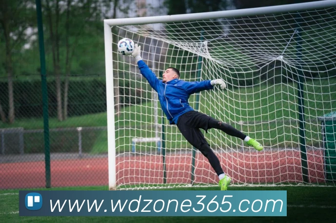 App Interface Preview